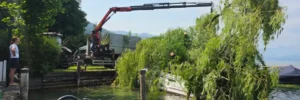 Umgestürzte Trauerweide beschädigt nach schwerem Unwetter ein Elektroboot in der Marina Eichhorn in Weyregg am Attersee.